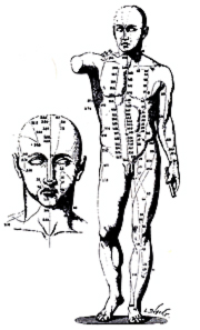 Acupuncture Chart