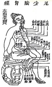 TCM chart - Kidney Meridian